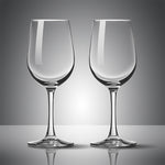 将图片加载到图库查看器，Wine Glasses Champagne Goblet 10 OZ
